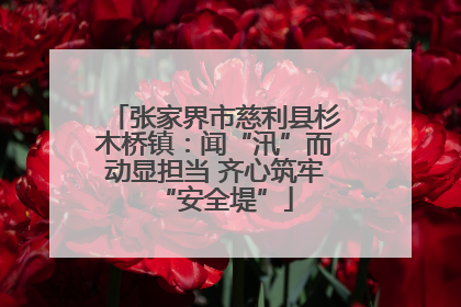 张家界市慈利县杉木桥镇：闻“汛”而动显担当 齐心筑牢“安全堤”