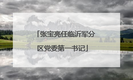 张宝亮任临沂军分区党委第一书记