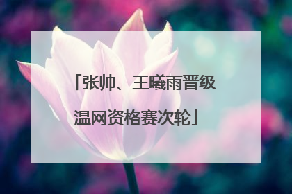 张帅、王曦雨晋级温网资格赛次轮