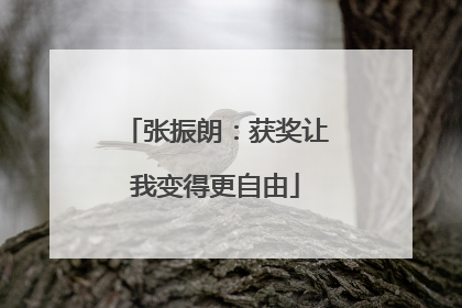 张振朗：获奖让我变得更自由