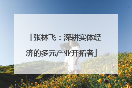 张林飞：深耕实体经济的多元产业开拓者