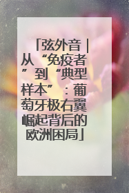 弦外音｜从“免疫者”到“典型样本”：葡萄牙极右翼崛起背后的欧洲困局