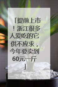提前上市！浙江很多人爱吃的它供不应求，今年要卖到60元一斤