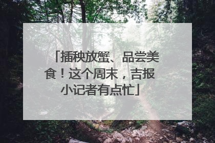 插秧放蟹、品尝美食！这个周末，吉报小记者有点忙
