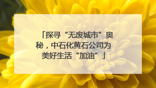 探寻“无废城市”奥秘，中石化黄石公司为美好生活“加油”