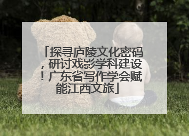 探寻庐陵文化密码，研讨戏影学科建设！广东省写作学会赋能江西文旅