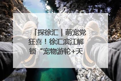 探徐汇｜萌宠党狂喜！徐汇滨江解锁“宠物游轮+天台乐园”双玩法