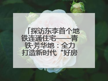 探访东李首个地铁连通住宅——青铁·芳华地：全力打造新时代“好房子”人居标杆