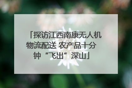 探访江西南康无人机物流配送 农产品十分钟“飞出”深山