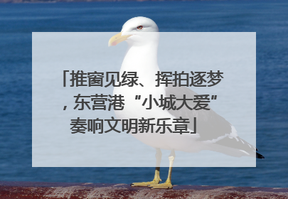 推窗见绿、挥拍逐梦，东营港“小城大爱”奏响文明新乐章