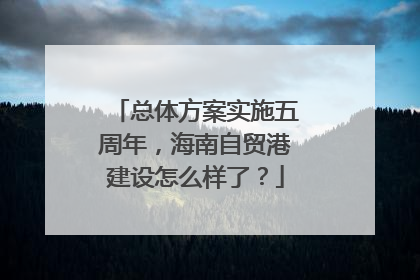 总体方案实施五周年，海南自贸港建设怎么样了？