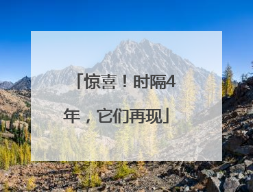 惊喜！时隔4年，它们再现