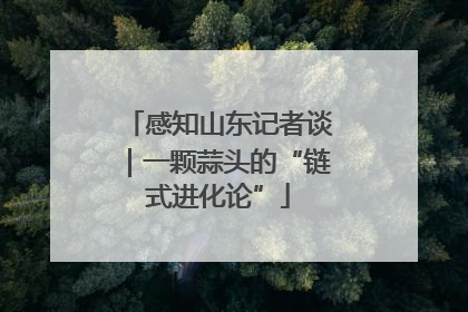 感知山东记者谈｜一颗蒜头的“链式进化论”