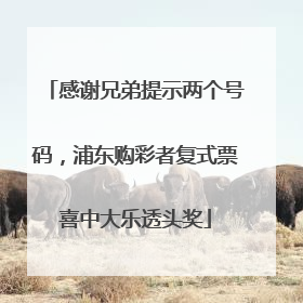 感谢兄弟提示两个号码，浦东购彩者复式票喜中大乐透头奖