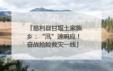 慈利县甘堰土家族乡：“汛”速响应！奋战抢险救灾一线