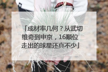 成材率几何？从武切维奇到申京，16顺位走出的球星还真不少
