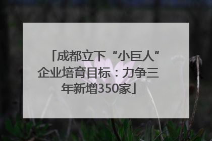 成都立下“小巨人”企业培育目标：力争三年新增350家