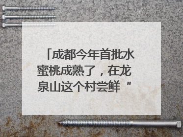 成都今年首批水蜜桃成熟了，在龙泉山这个村尝鲜“第一口”｜寻找和美乡村推荐官