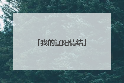 我的辽阳情结