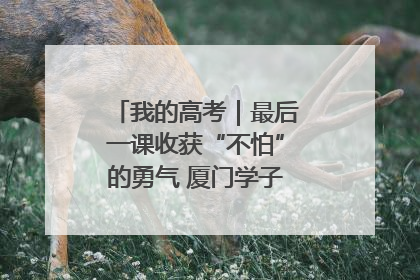 我的高考｜最后一课收获“不怕”的勇气 厦门学子万里同风赴新程