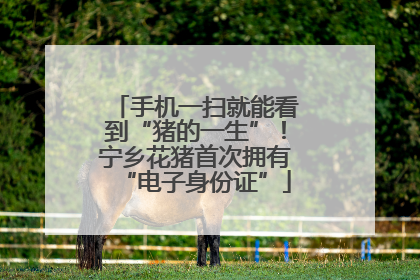 手机一扫就能看到“猪的一生”！宁乡花猪首次拥有“电子身份证”