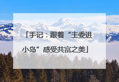 手记：跟着“主委进小岛”感受共富之美