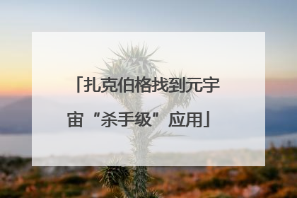 扎克伯格找到元宇宙“杀手级”应用