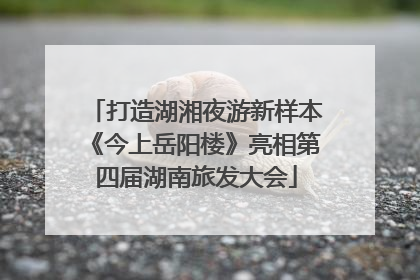 打造湖湘夜游新样本《今上岳阳楼》亮相第四届湖南旅发大会