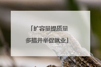 扩容量提质量 多措并举促就业