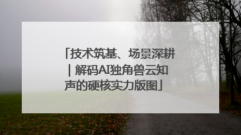 技术筑基、场景深耕｜解码AI独角兽云知声的硬核实力版图