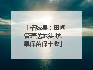 柘城县：田间管理送地头 抗旱保苗保丰收