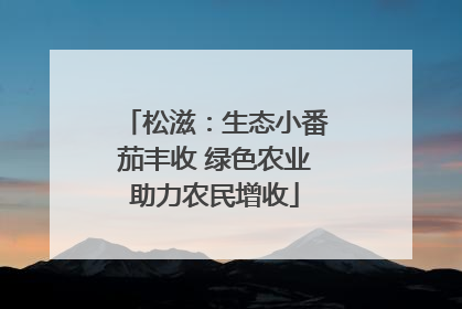 松滋：生态小番茄丰收 绿色农业助力农民增收