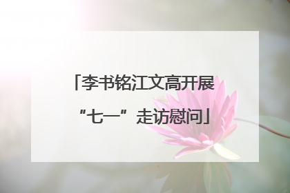 李书铭江文高开展“七一”走访慰问