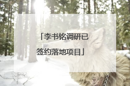 李书铭调研已签约落地项目