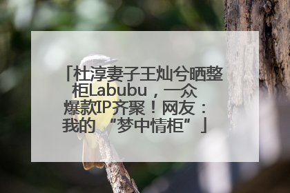杜淳妻子王灿兮晒整柜Labubu，一众爆款IP齐聚！网友：我的 “梦中情柜”