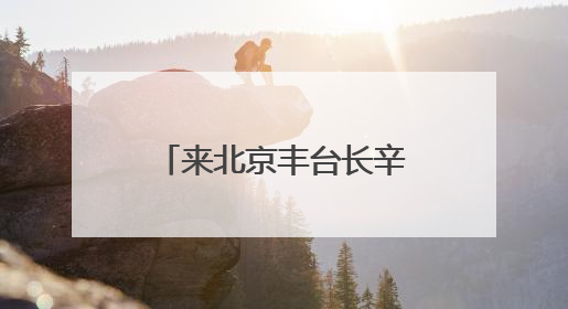 来北京丰台长辛店国潮街区 在六一与端午的交织中做快乐小孩