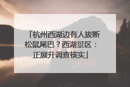 杭州西湖边有人拔断松鼠尾巴？西湖景区：正展开调查核实