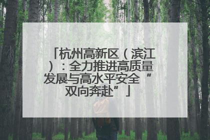 杭州高新区（滨江）：全力推进高质量发展与高水平安全“双向奔赴”
