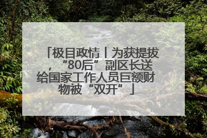 极目政情丨为获提拔，“80后”副区长送给国家工作人员巨额财物被“双开”