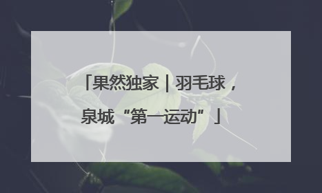 果然独家｜羽毛球，泉城“第一运动”