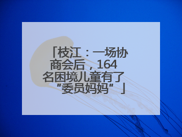 枝江：一场协商会后，164名困境儿童有了“委员妈妈”