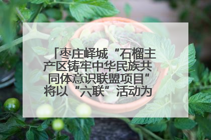 枣庄峄城“石榴主产区铸牢中华民族共同体意识联盟项目”将以“六联”活动为抓手深化品牌建设