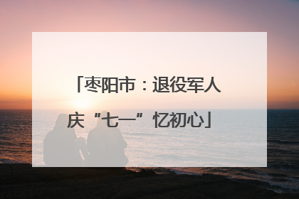 枣阳市：退役军人庆“七一”忆初心
