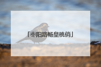 枣阳路畅皇桃俏