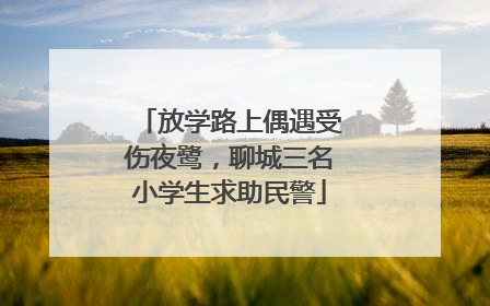放学路上偶遇受伤夜鹭，聊城三名小学生求助民警