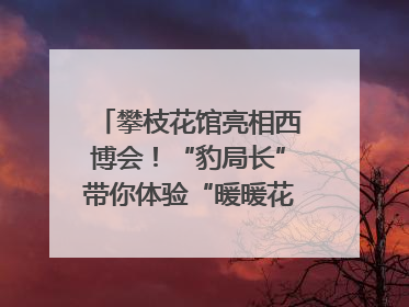 攀枝花馆亮相西博会！“豹局长”带你体验“暖暖花城”独特魅力｜西博视界
