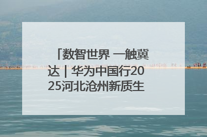 数智世界 一触冀达｜华为中国行2025河北沧州新质生产力峰会成功举办
