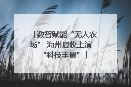 数智赋能“无人农场” 海州夏收上演“科技丰景”