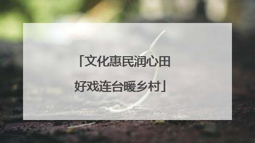 文化惠民润心田 好戏连台暖乡村