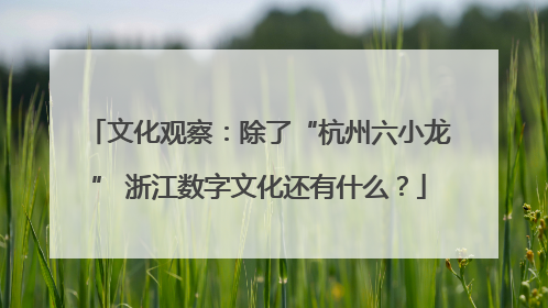 文化观察：除了“杭州六小龙” 浙江数字文化还有什么？
